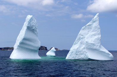 icebergs